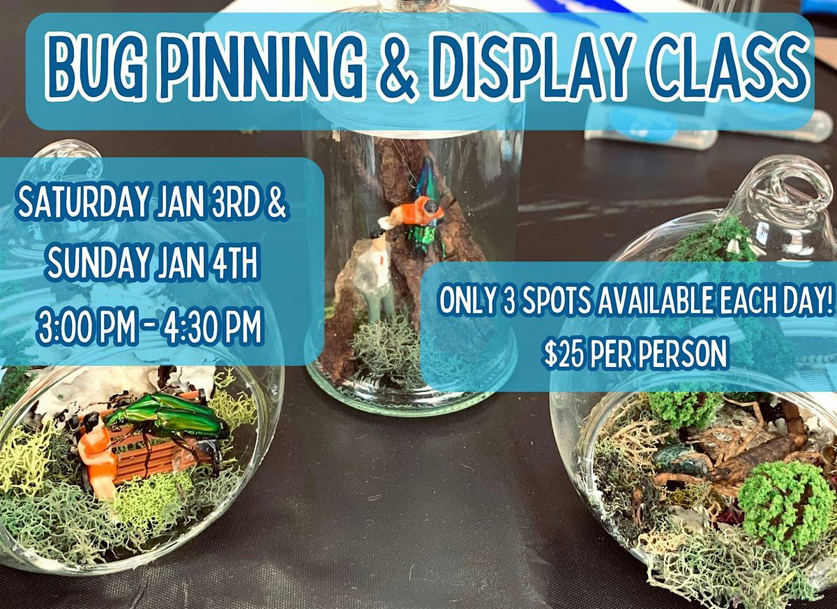 Bug Pinning & Display Class: Beginner - January 2026