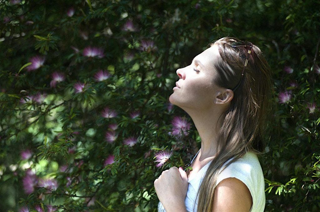 Summer Mind-Body Wellness Retreat