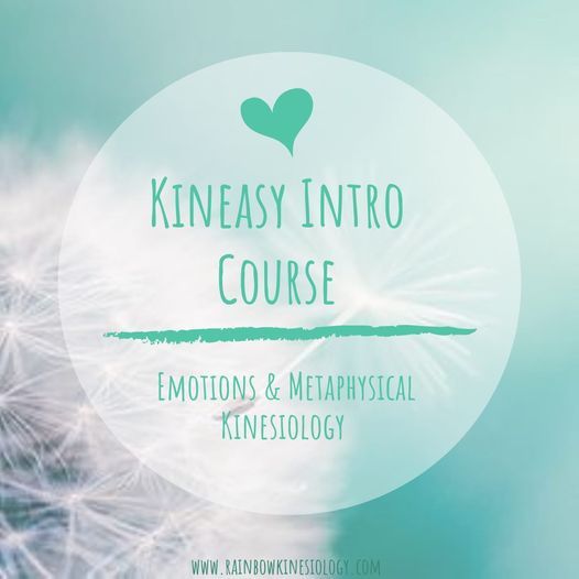 Kineasy Intro Course