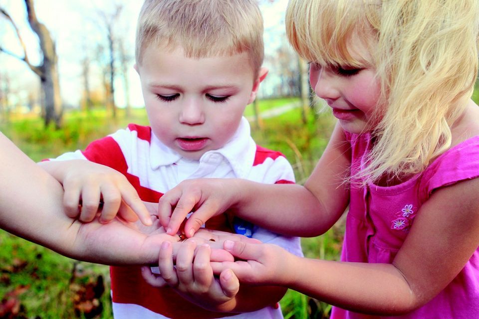 Sunday Family Fun Day West Virginia Botanic Garden Morgantown WV 