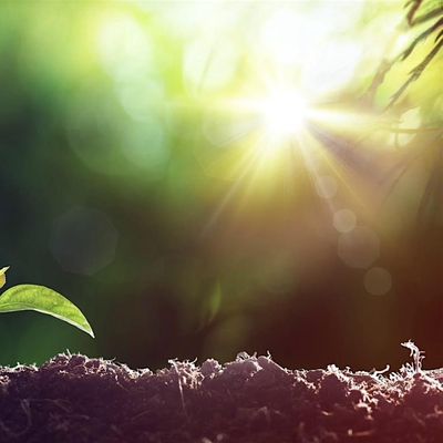 EmpathyWorks Leadership Consultancy Ltd