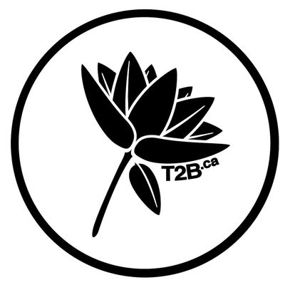 Transition to Betterness - Marissa Dodich