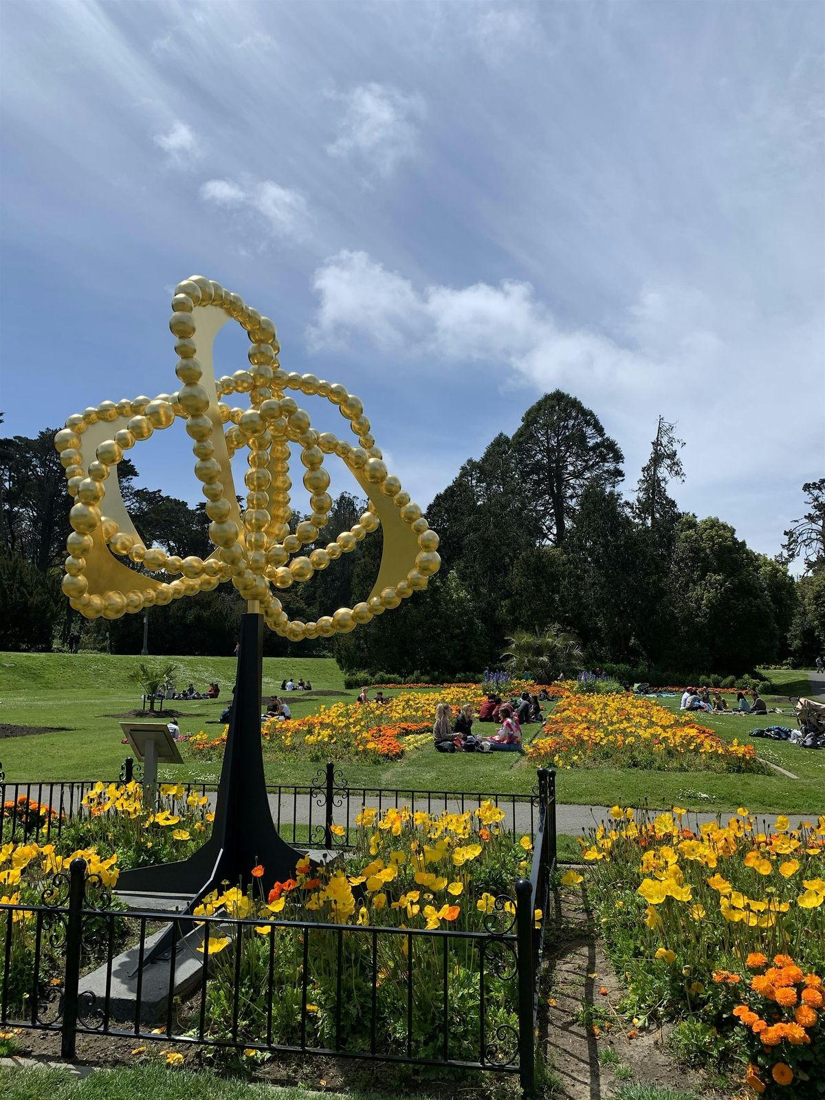 Golden Gate Park Experience
