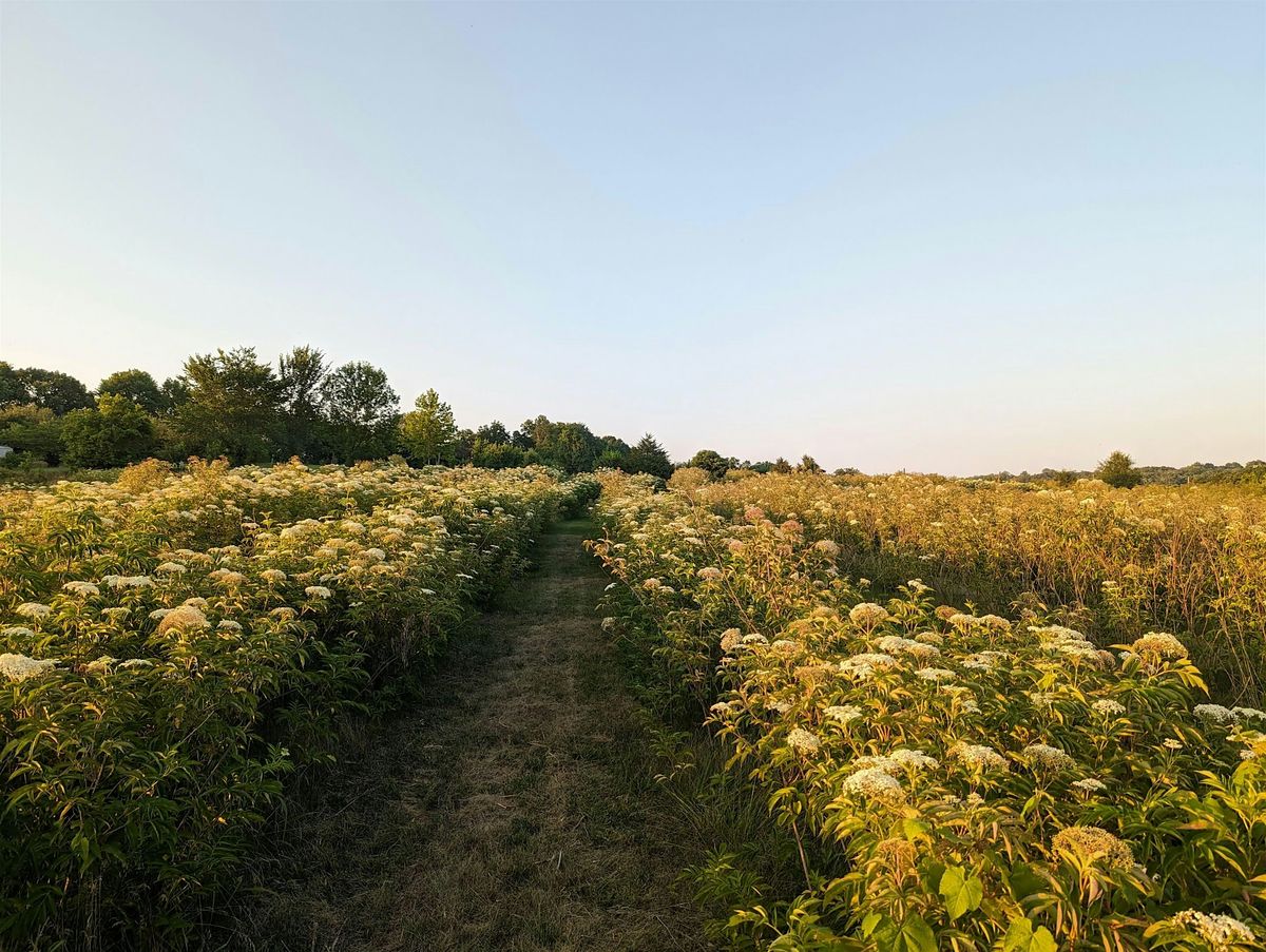 Grower Connections at the Farm to Cafeteria Conference