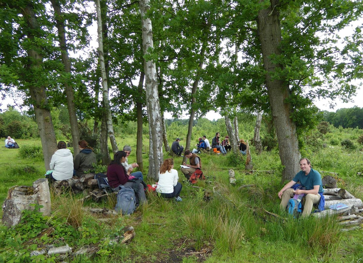 Plant Identification in the Field