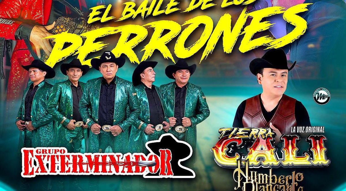 GRUPO EXTERMINADOR, TIERRA CALI & LOS ARMADILLOS 