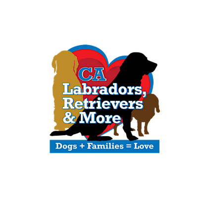 CA Labradors, Retrievers & More