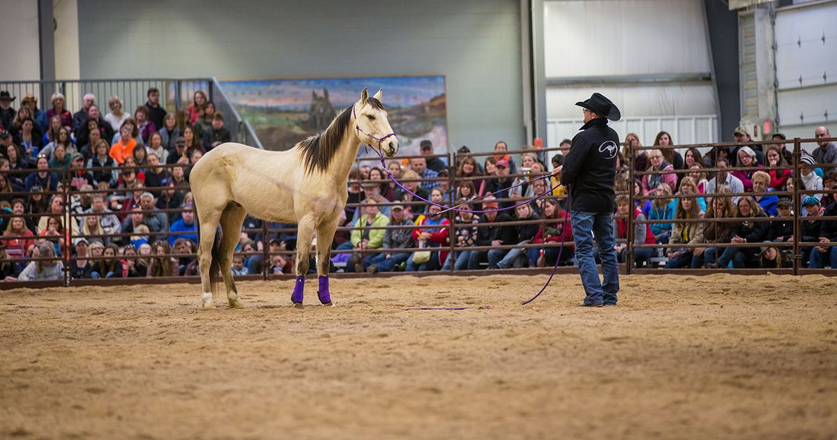 Parking Midwest Horse Fair - PRCA Rodeo (Evening)