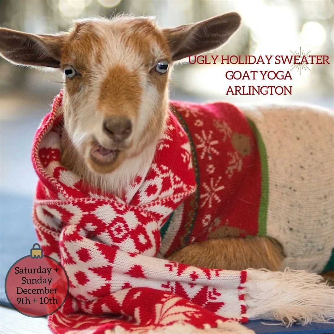 Ugly Holiday Sweater Goat Yoga in Arlington