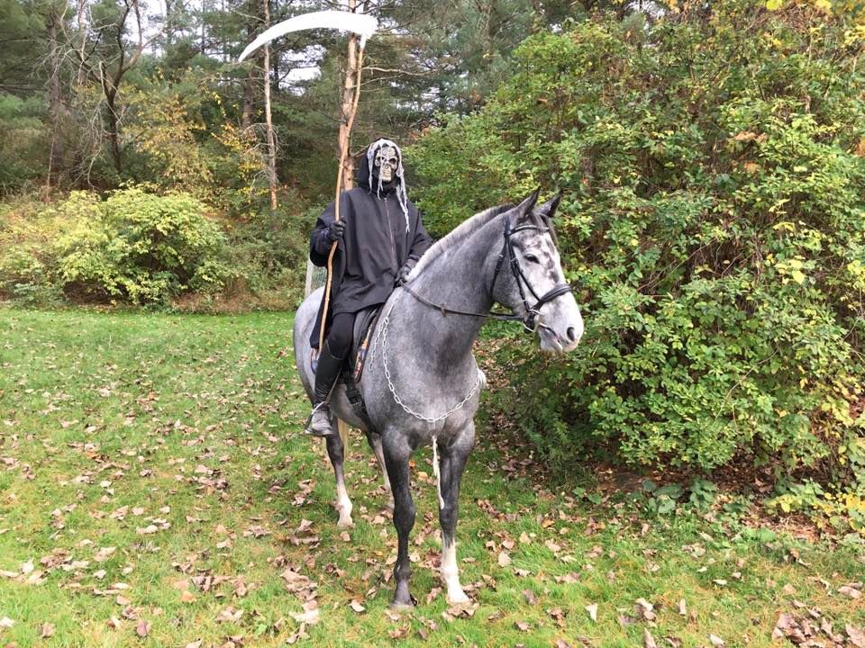 2023 Horse Amour Horse Trials 4 Horse Amour, Proctor, VT October 1