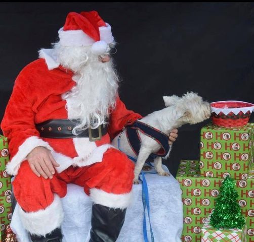 Santa and Pet Photos