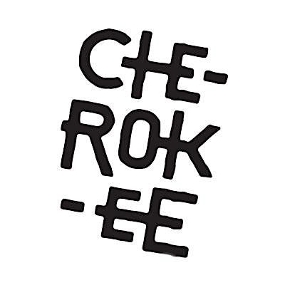 Cherokee Street Foundation