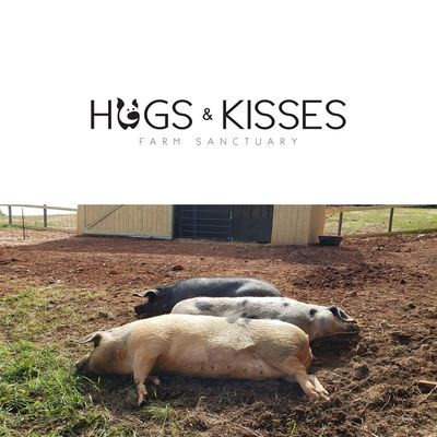 Hogs & Kisses Farm Sanctuary