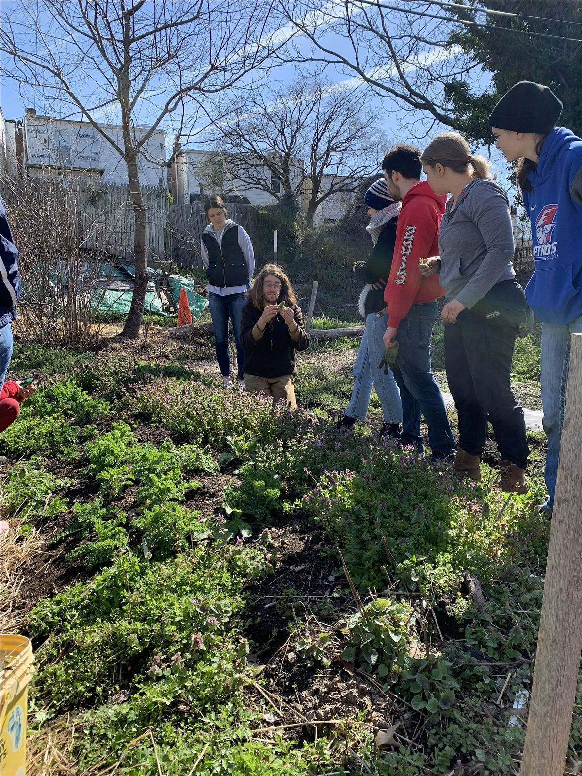 May Collective Garden Volunteer Day