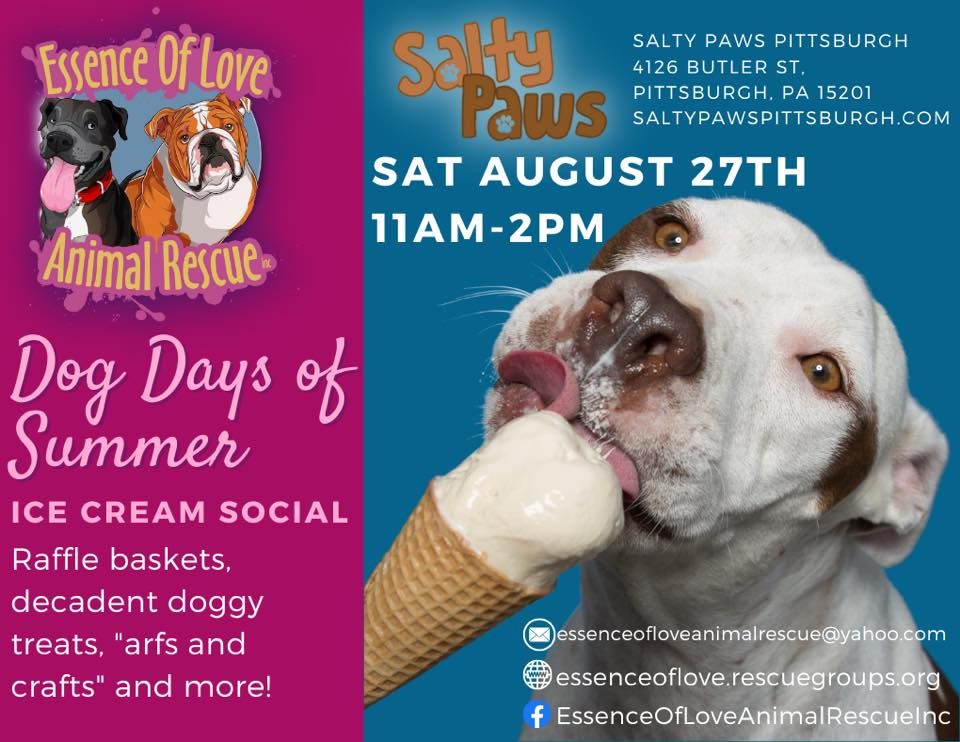 Dog Days Of Summer Ice Cream Social At 4126 BUTLER ST PITTSBURGH PA dog-days-of-summer-ice-cream-social-at-4126-butler-st-pittsburgh-pa