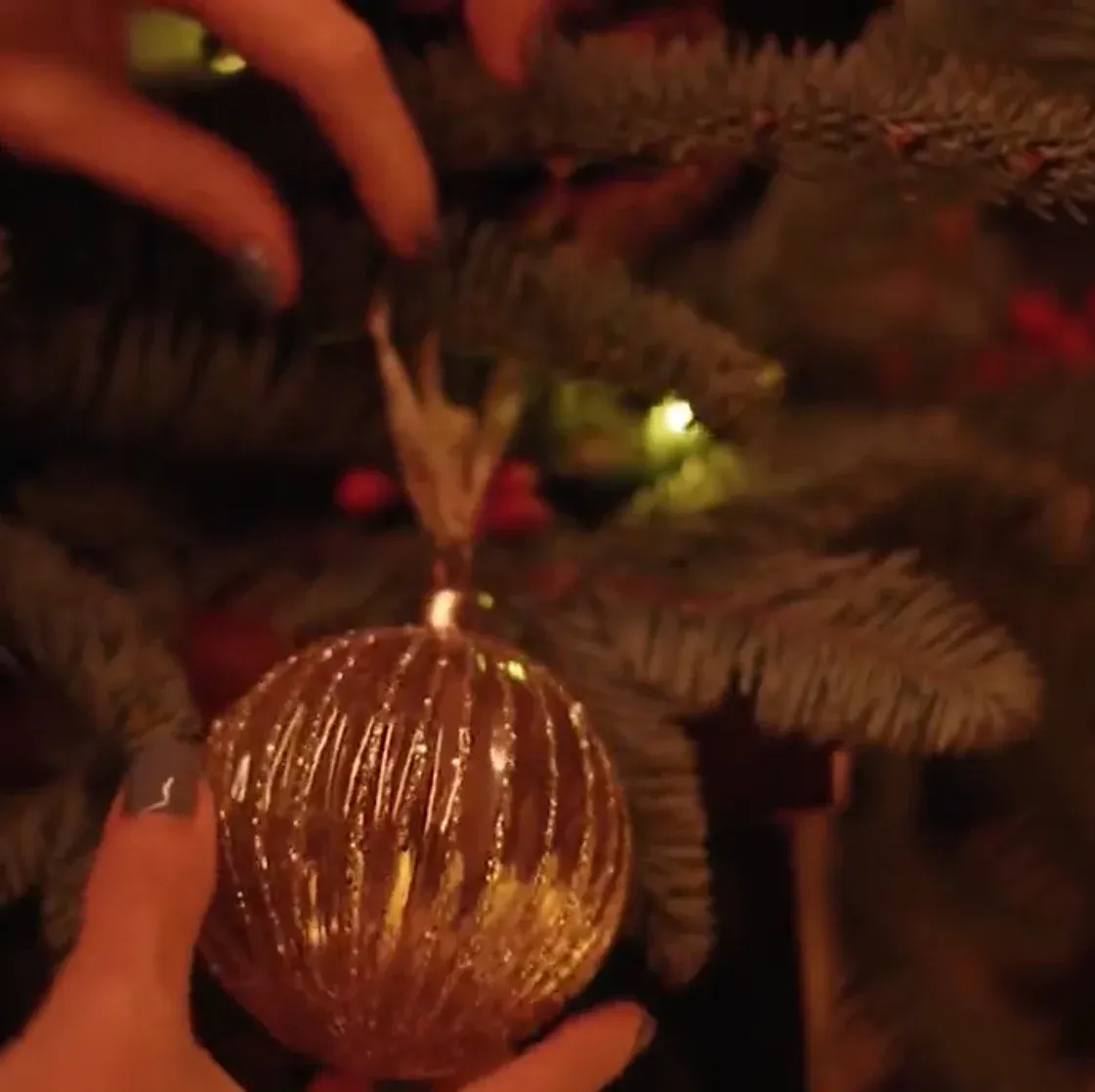 Come join Champagne & Caviar at Seasons 52 before the Christmas Concert!