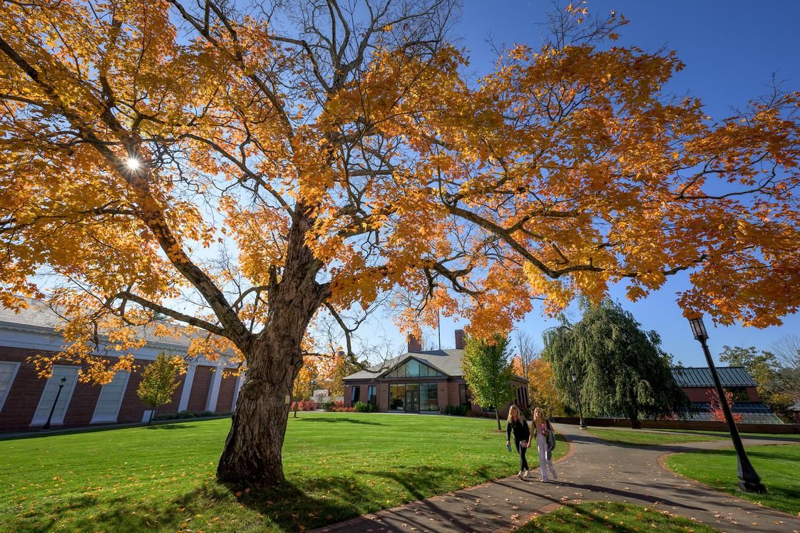 Parking The Nutcracker - Saint Paul