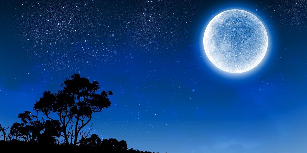 Blue Moon Sound Bath with Michelle Bulda
