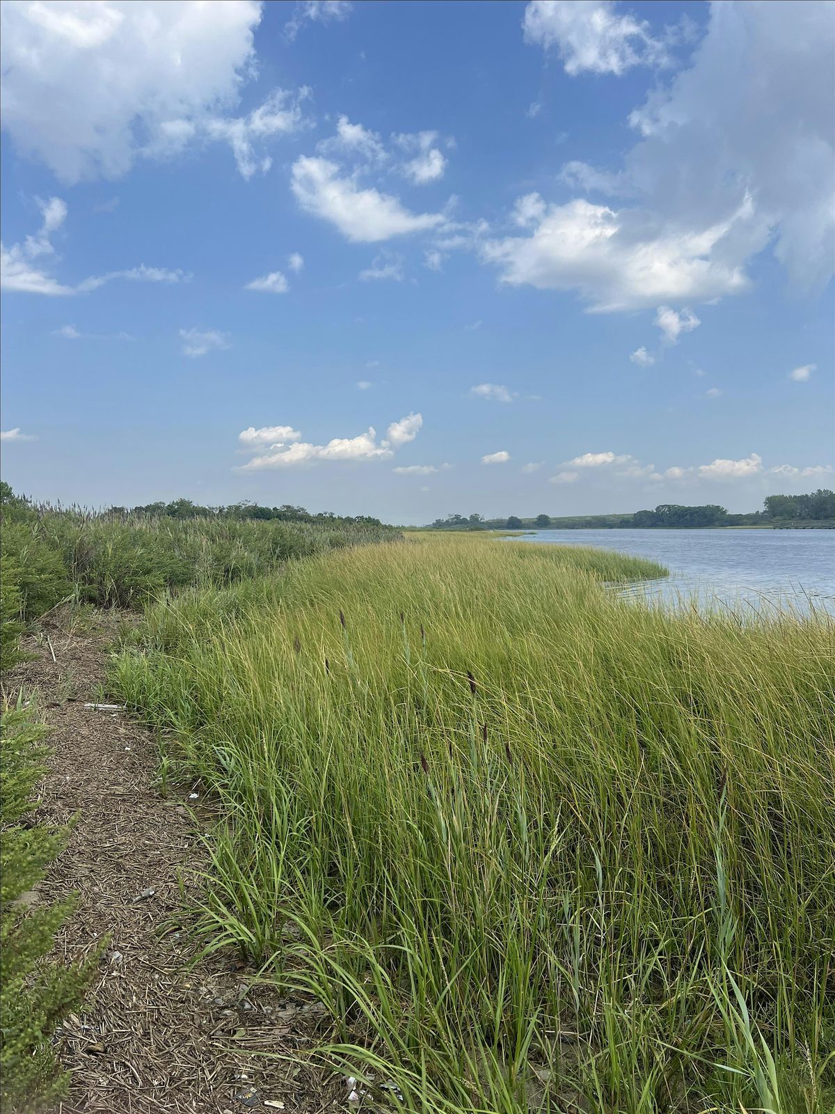 International Coastal Cleanup Day at Dubos Point Wildlife Sanctuary