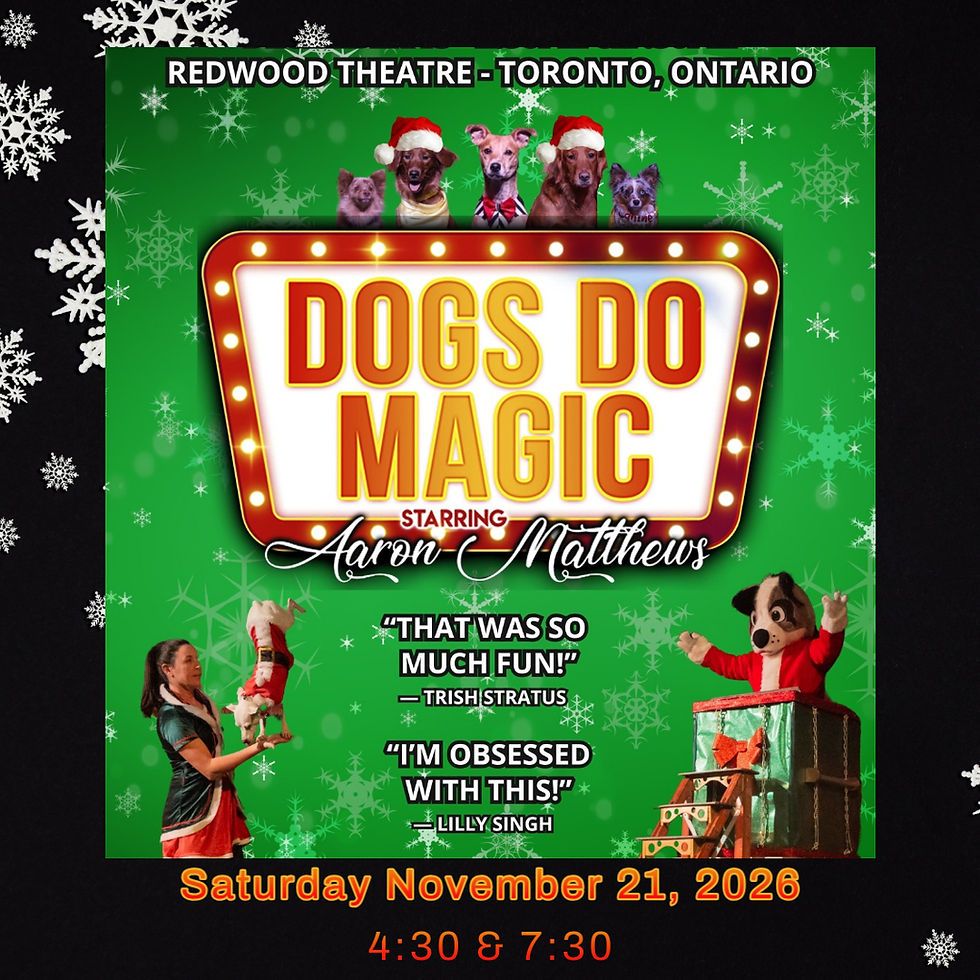 Dogs Do Magic
