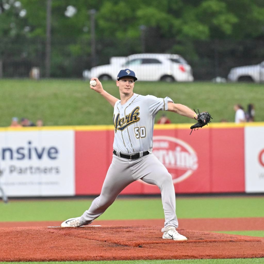 York Revolution at Charleston Dirty Birds at GoMart Ballpark