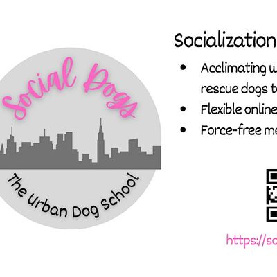 Social Dogs, LLC