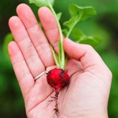 Bay City Seed Library