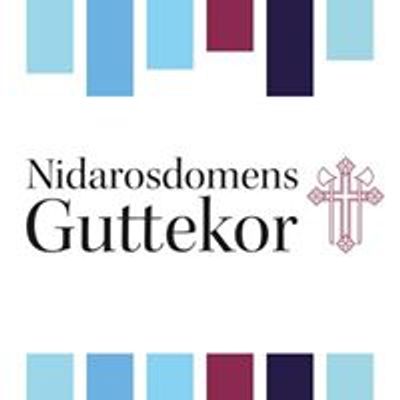 Nidarosdomens Guttekor