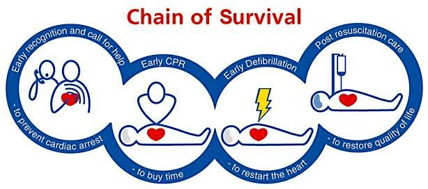 11\/05\/26 - Adult ONLY Basic Life Support (PM Session) - QEH
