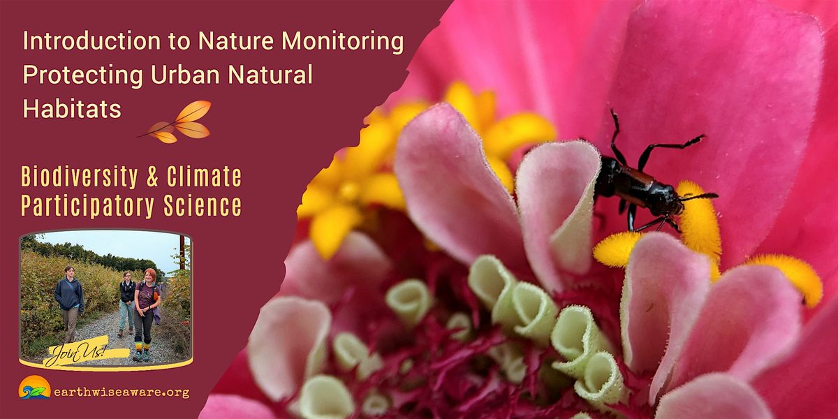 Introduction to Nature Monitoring in the City