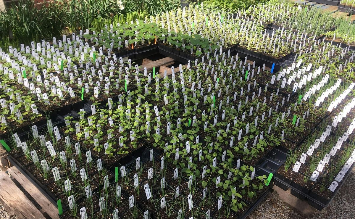 Plant Sale + Free Gardening Class & Tour