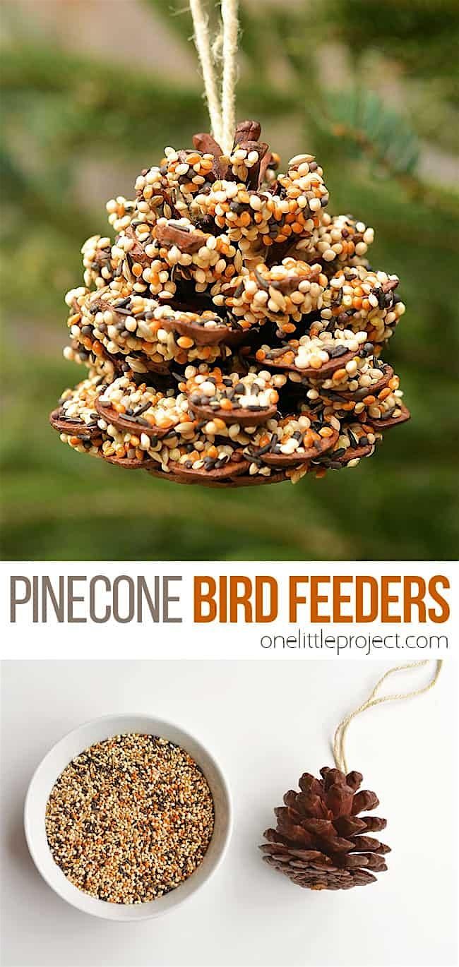 Pinecone Bird Feeder Craft