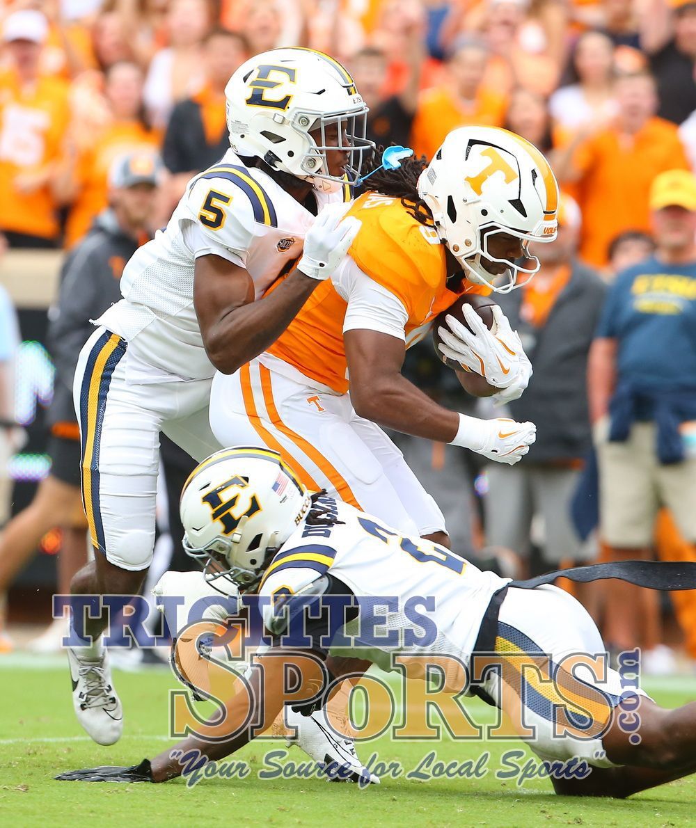 Bush League & Roll me Home