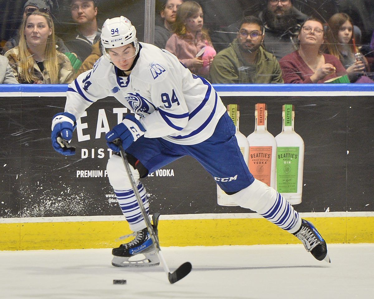 Brampton Steelheads vs. Brantford Bulldogs