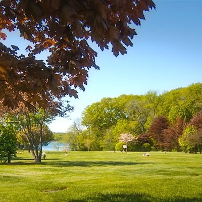 Puritan Lawn Memorial Park