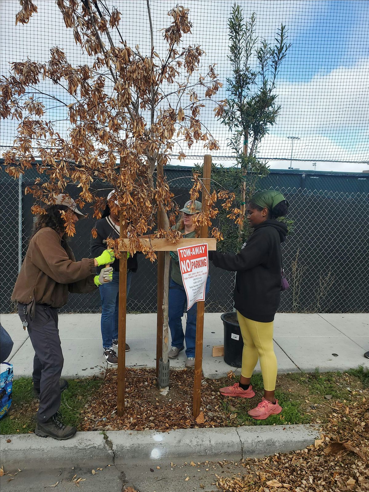 West Oakland Tree Planting - Raimondi Park (Saturday November 29th)