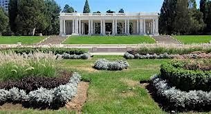An Afternoon at the Park