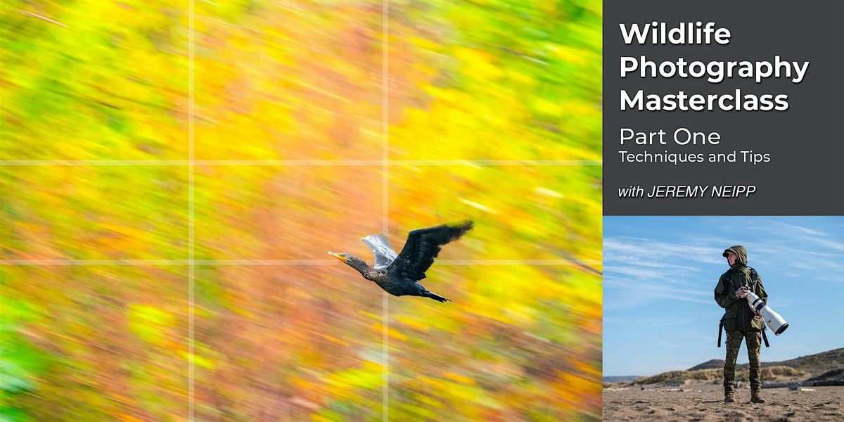 Wildlife Photography Masterclass - Part One - Techniques and Tips