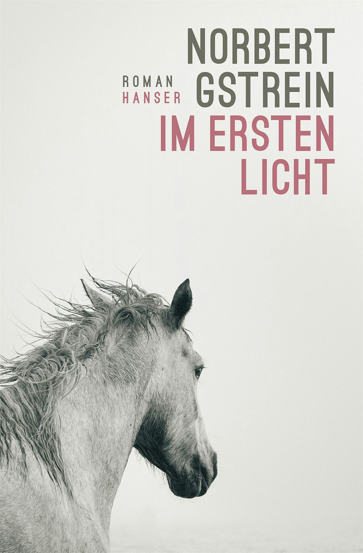 Norbert Gstrein: Im ersten Licht