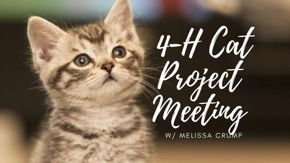 4-H Cat Project Meeting