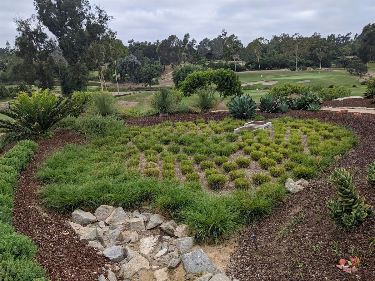 Stormwater Training Test