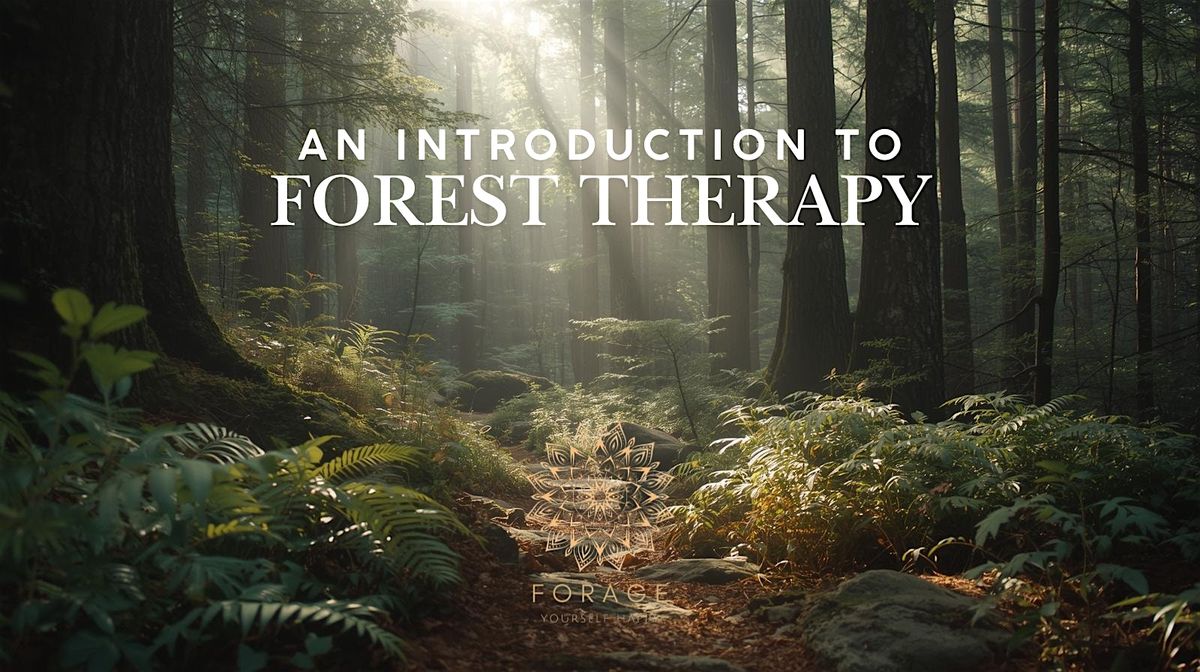 Intro to Sylvotherapy & Forest Therapy: A Beginner\u2019s Workshop