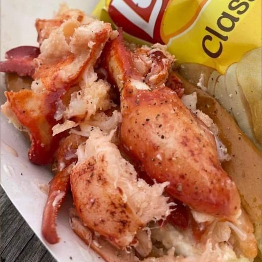 Lobster Dogs Back at The Vive at Kellswater The Vive at Kellswater