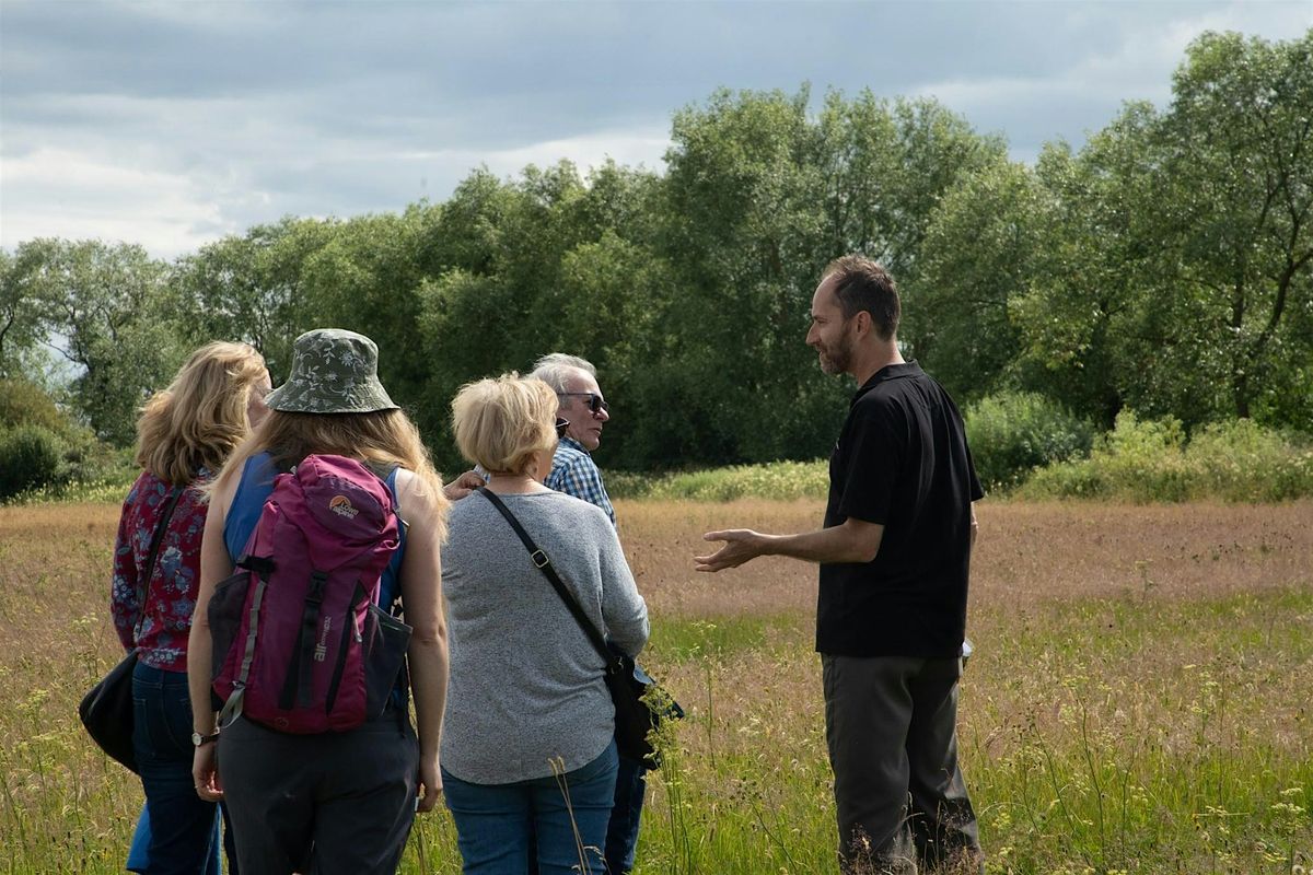 Members' Wild Ramble: Bank Island to Wheldrake Ings