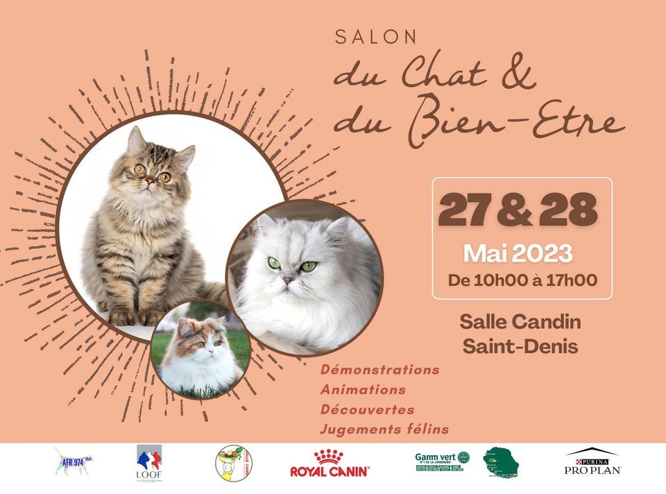 Salon du chat et du bien être humain et Animale: 12 éme exposition