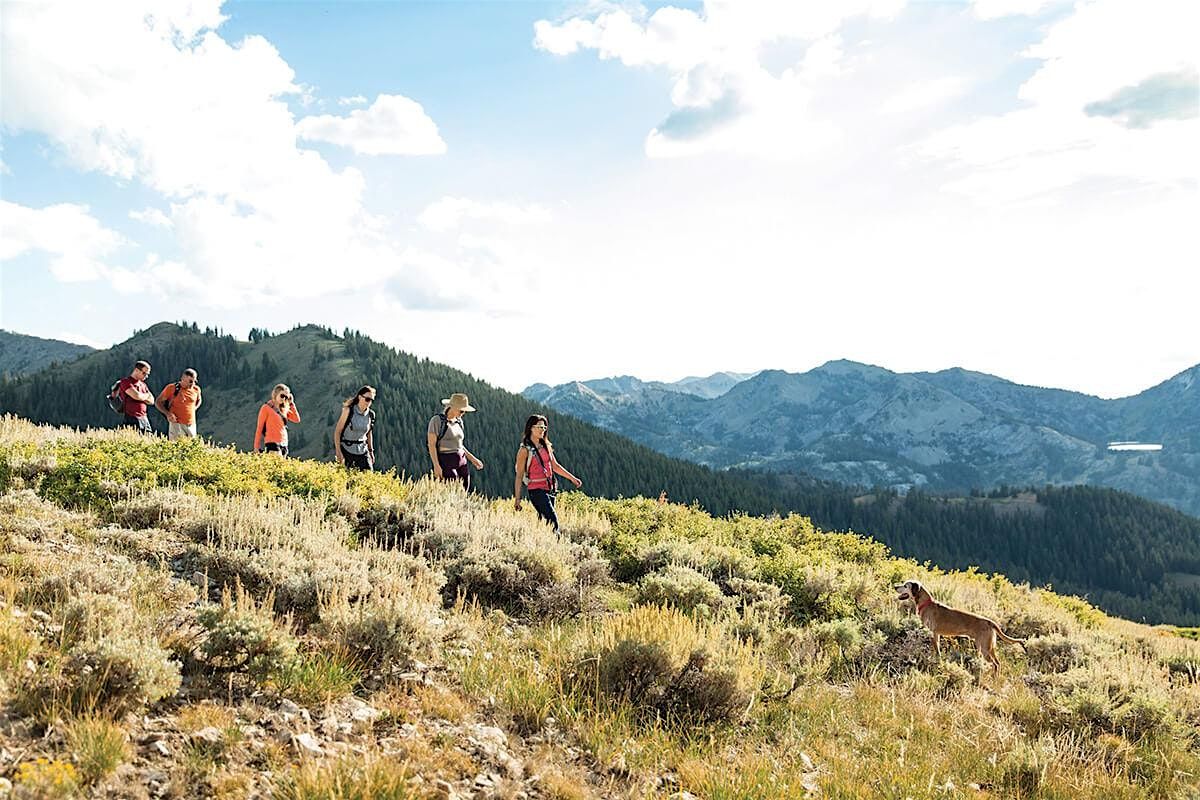 Beyond Buzzwords: Writing Sustainability Content People Care About