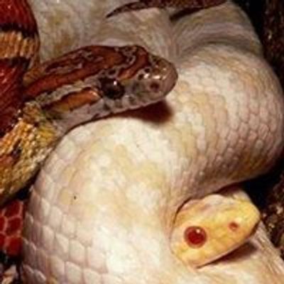 Cleveland Reptile Show & Sale