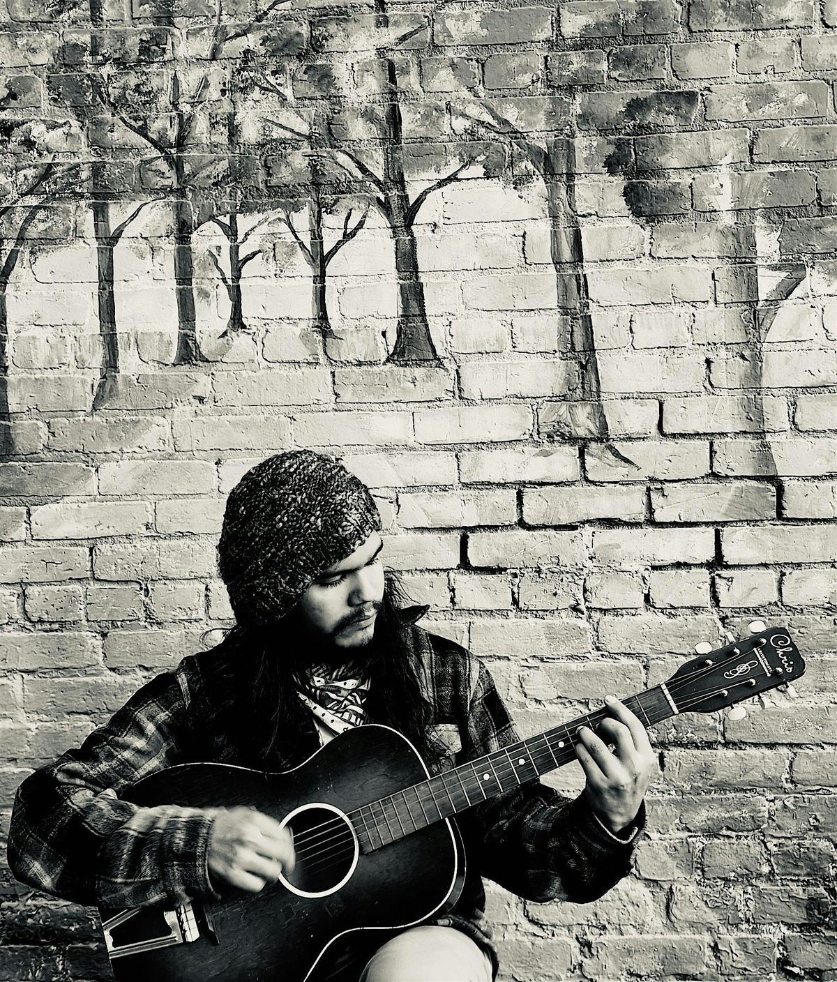 The Mushroom Herders : Organically GA-Grown Folk