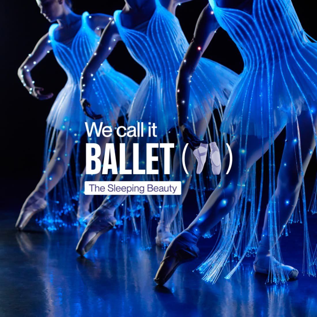 We Call It Ballet: Sleeping Beauty Dance and Light Show