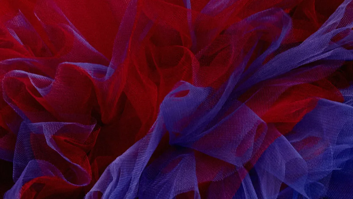 Roberta S\u00e1 in S\u00e3o Paulo